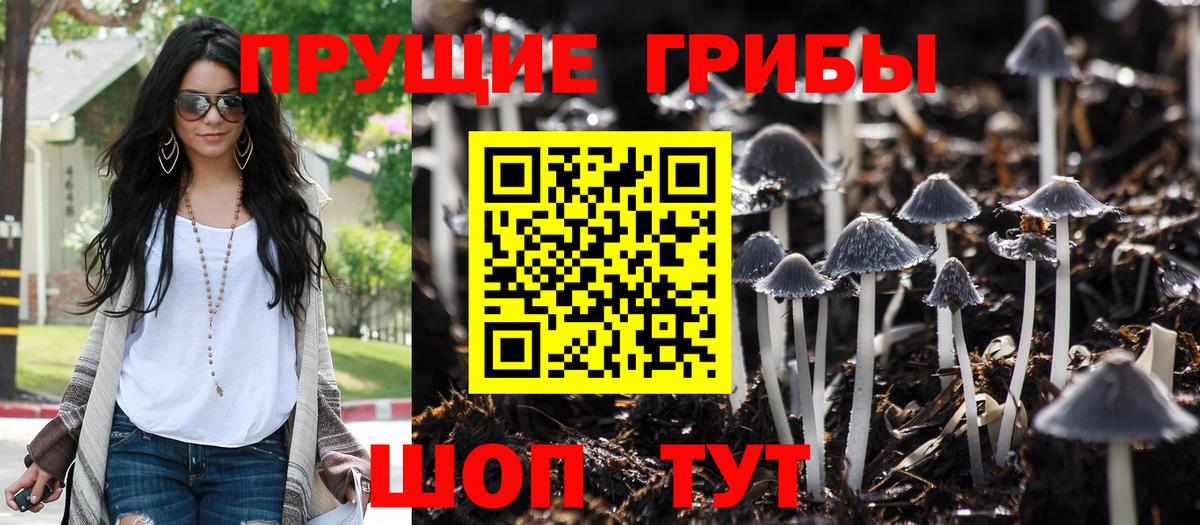 Назрань  Псилоцибиновые грибы мицелий  Галлюциногенные грибы ЛСД  Вход с VPN 